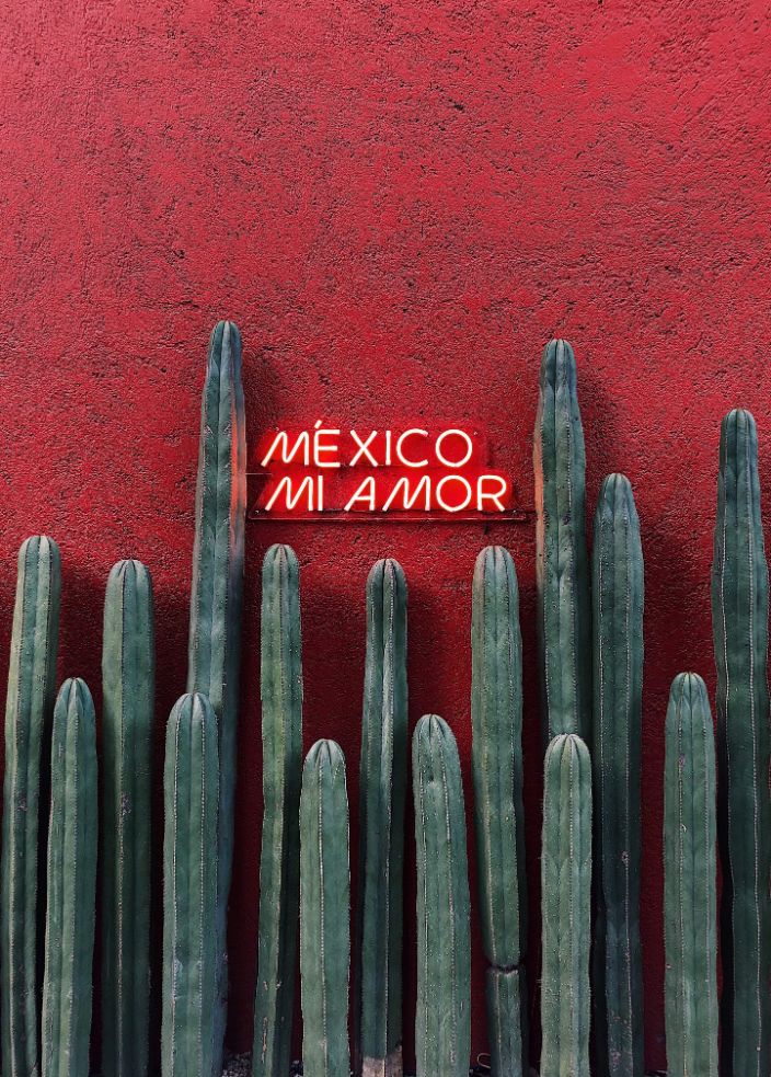 Mexico Mi Amor neon sign