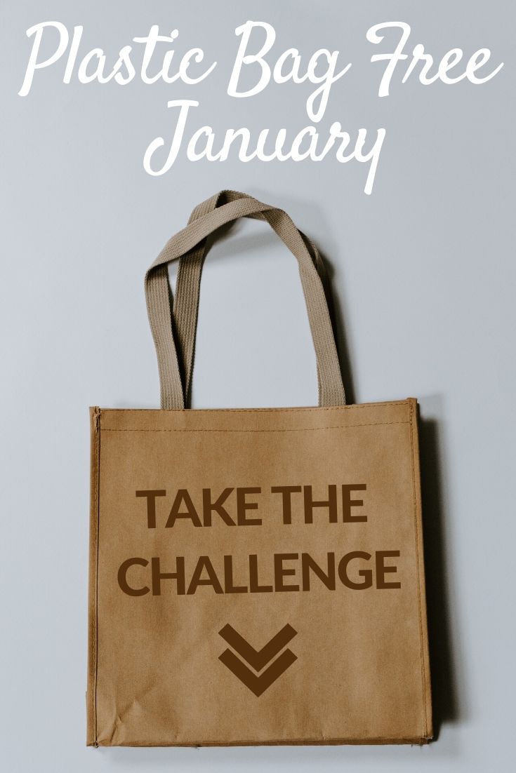 January Sustainability Challenge Pinterest pin