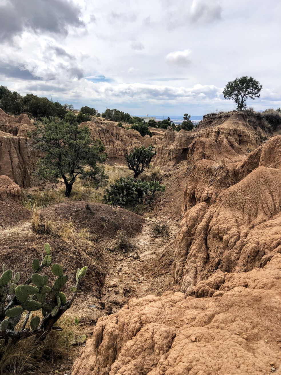 red canyon walls and cacti in the Tlaxco slot canyons