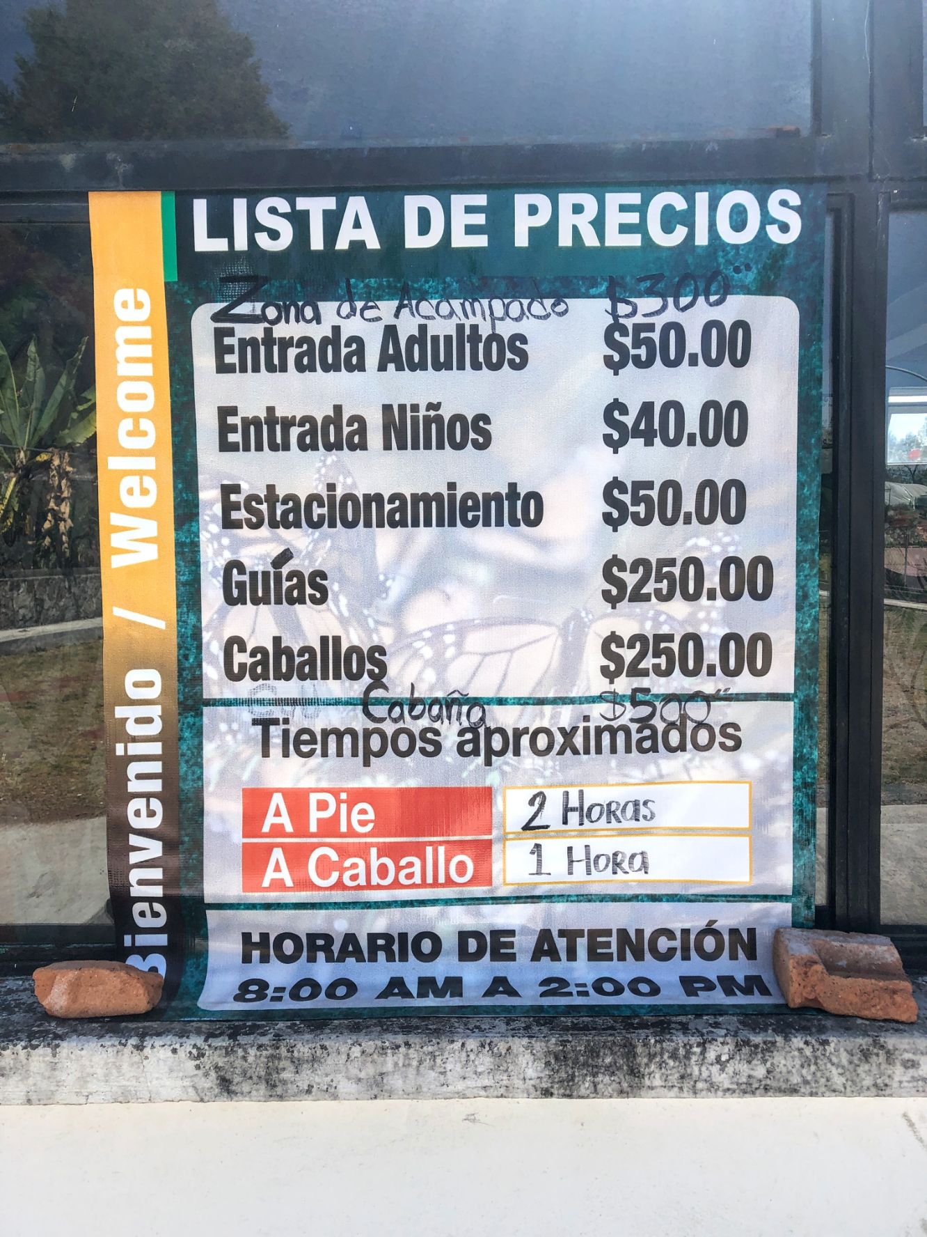 Cerro Pelon butterfly reserve prices