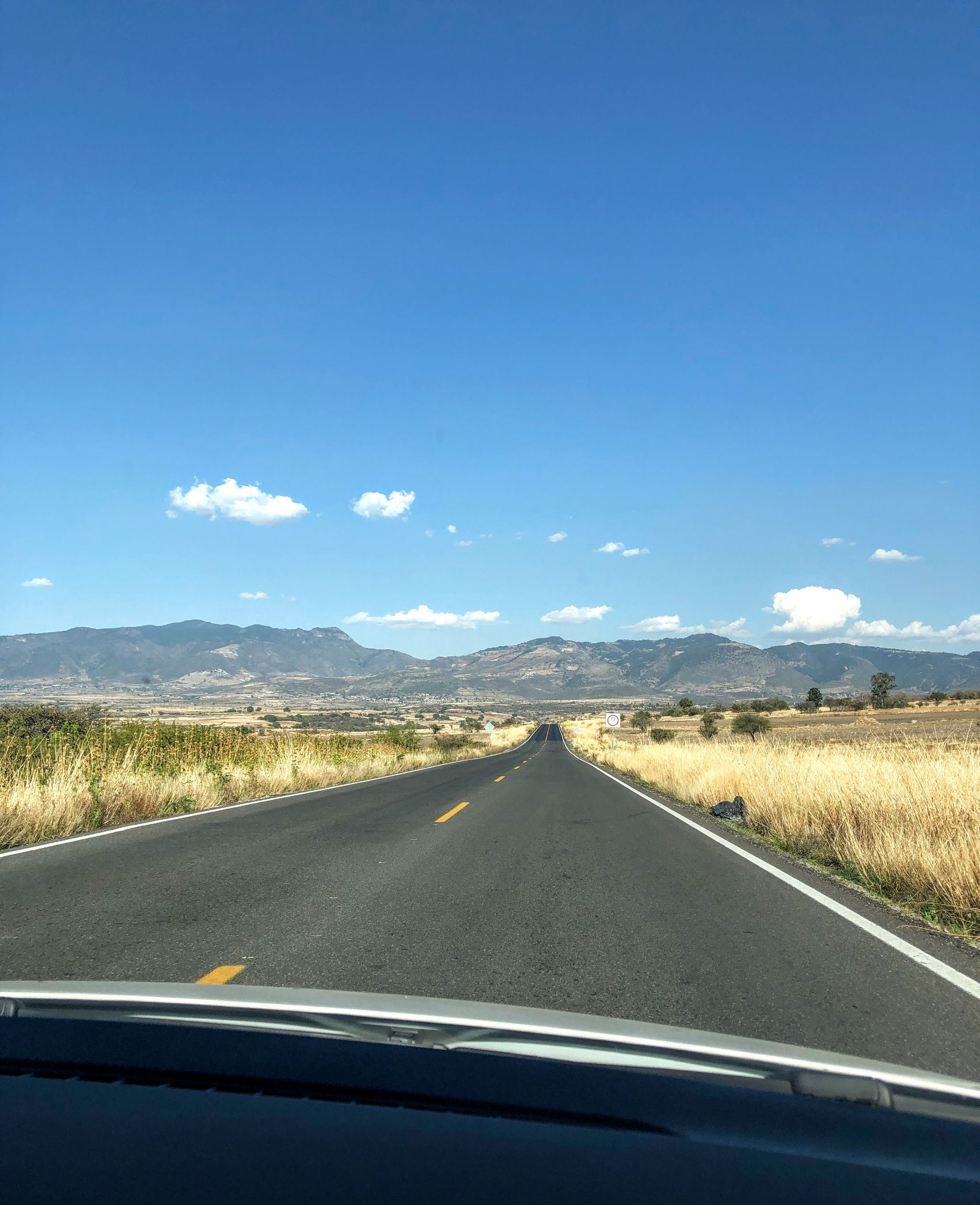open road leading to the monarch butterfly migration in Mexico