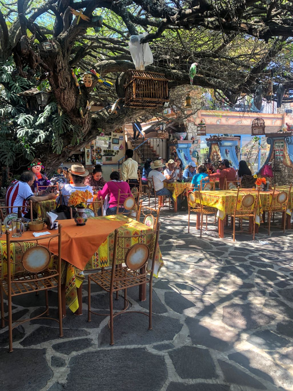 Restaurant El Mezquite courtyard under a tree in Bernal