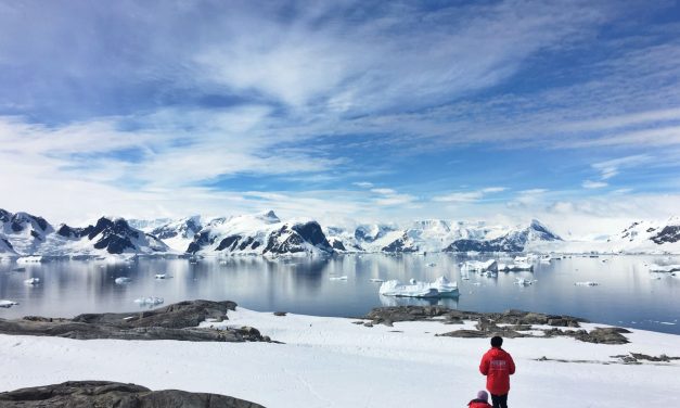 How to Get a Kitchen Steward Job in Antarctica (My Experience)